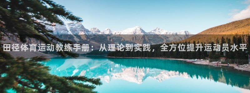 抖球体育：田径体育运动教练手册：从理论到实践，全方位提升运动员水平