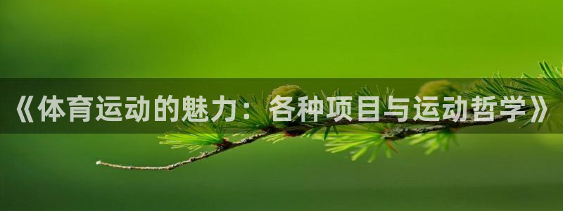 关键词：《体育运动的魅力：各种项目与运动哲学》