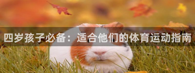 抖球体育：四岁孩子必备：适合他们的体育运动指南